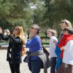 Athens Walking Private Tour – Licensed Tour Guide-Olive Sea Travel
