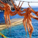 6 Hours - Santorini Private Tour-Olive Sea Travel