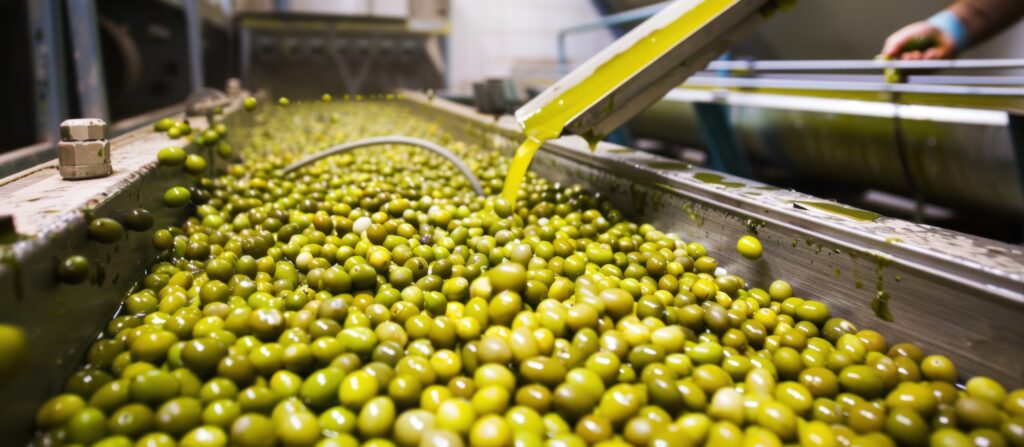 Corinth & Olive Oil Tasting Private Tour